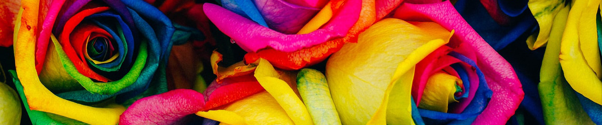 Enhance Summer Designs with 10 Hot Color Combos